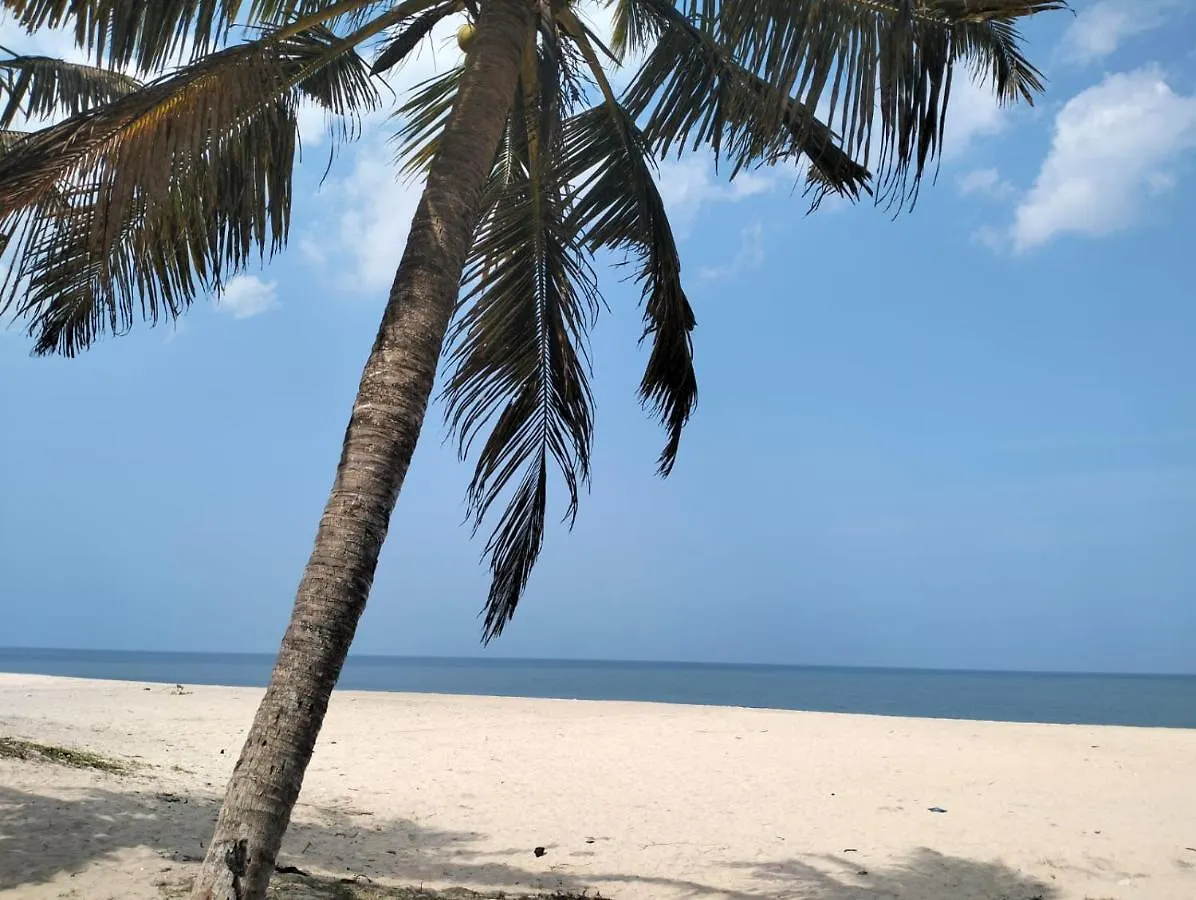 Marari La Rose Beach Homestay Mararikulam Indie